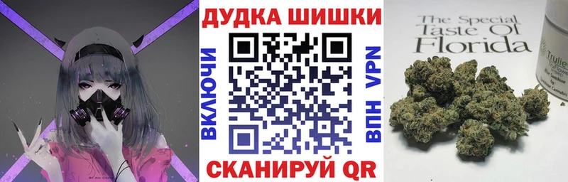 Канабис сатива  цены   Болохово 